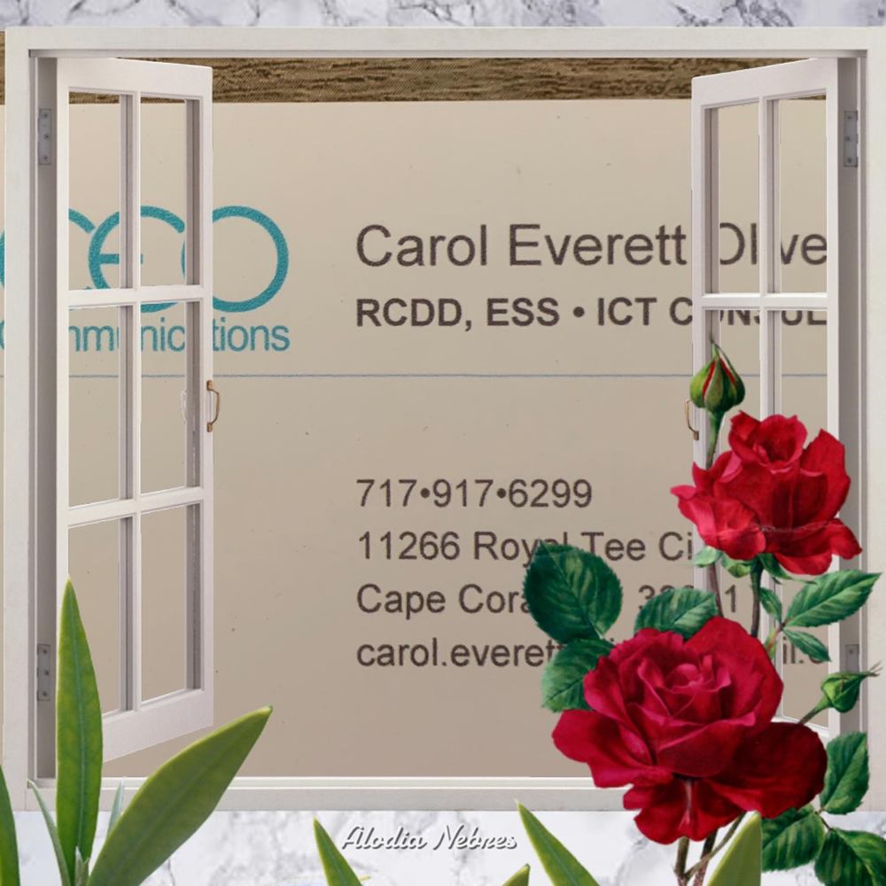 Meet your Posher, Carol